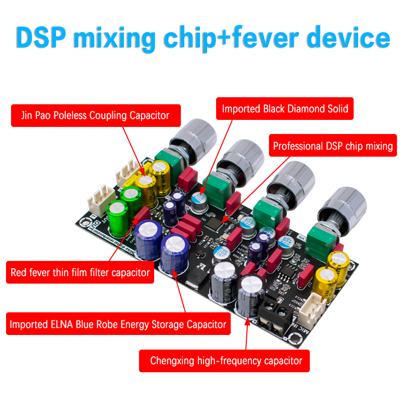 LIZAO DC 8-26V Fever Karaoke R - Shure Mic Sm58 review and price