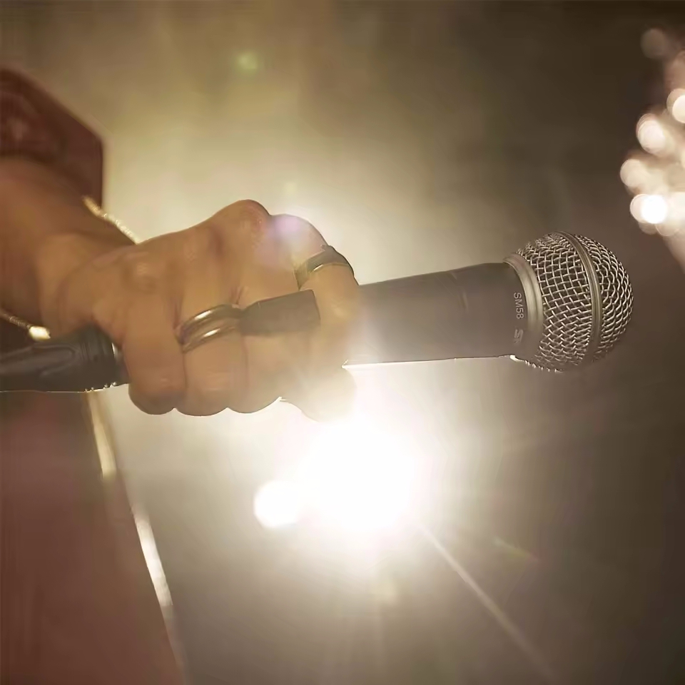 Karaoke Dynamic Microphone Pro - Shure Mic Sm58 review and price